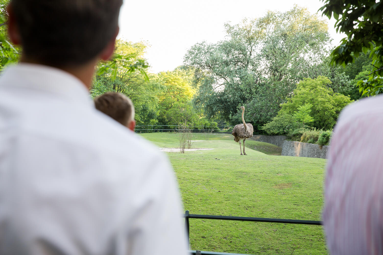 Event Cook & Cross 2019 KPM & Nachts im Zoo Berlin Networks plan A